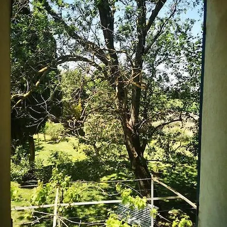 Mas En Provence, En Campagne Avec Piscine. Villa Orange (Vaucluse)